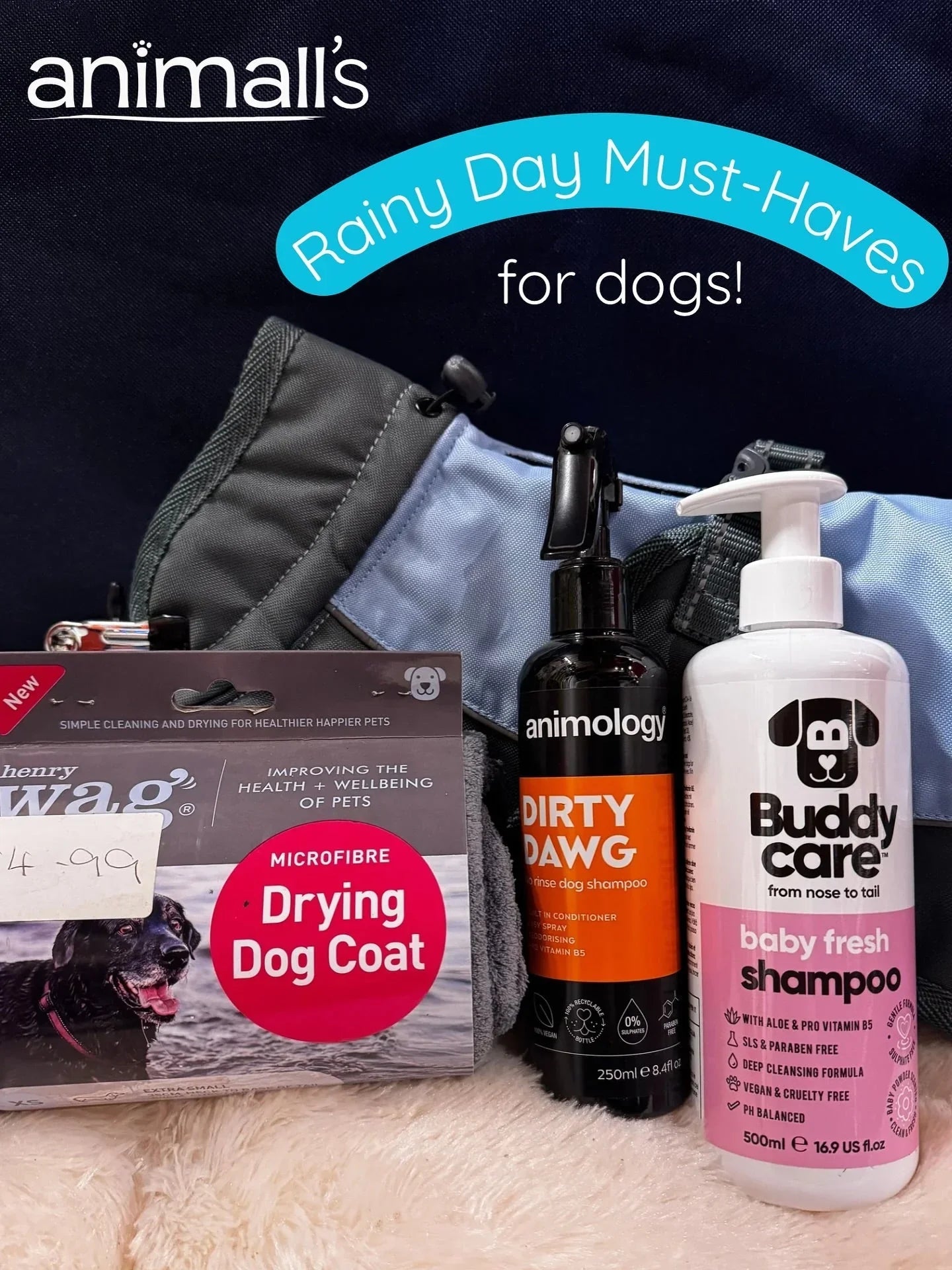 Our top picks for those rainy days with your dog 🐾