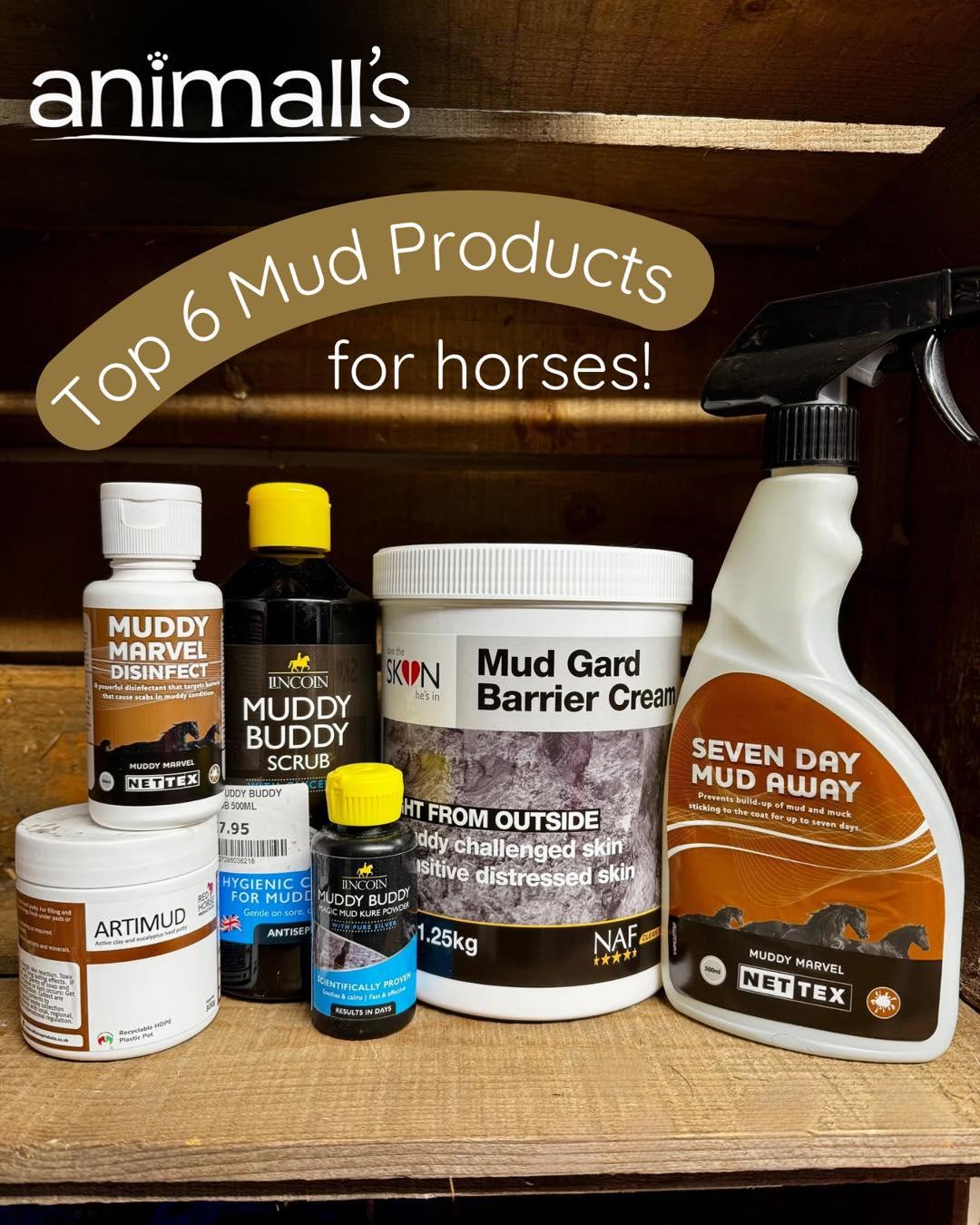 Animall’s Top 6 Mud Products For Horses 🐾
