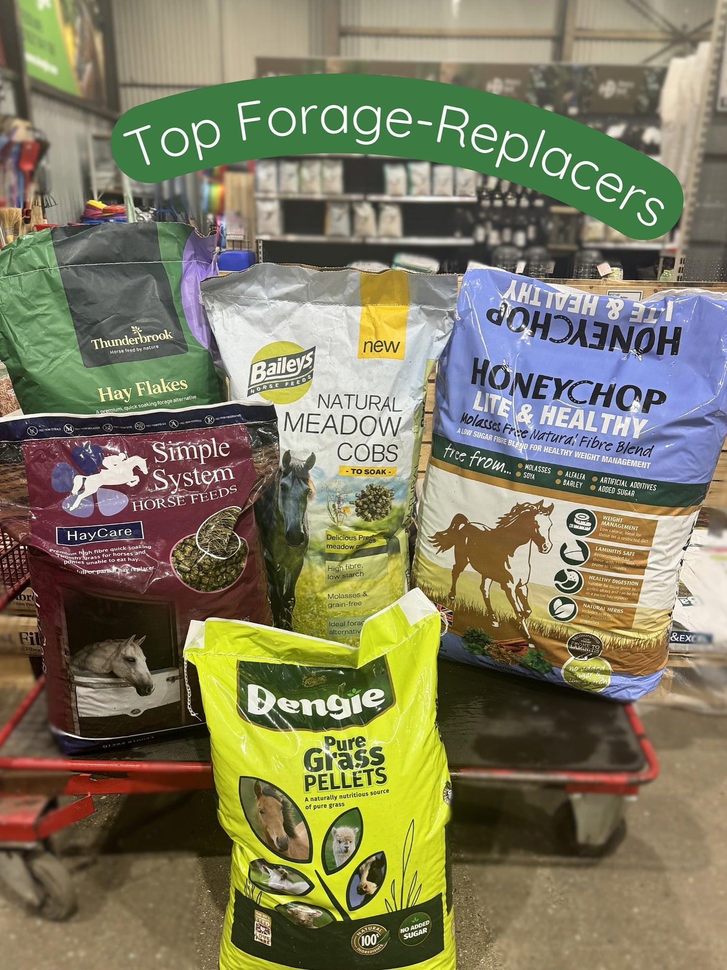 Top Forage-Replacers!