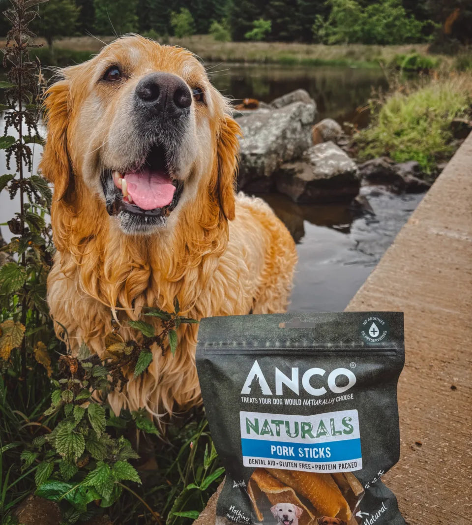 Anco Naturals Dog Treat Range