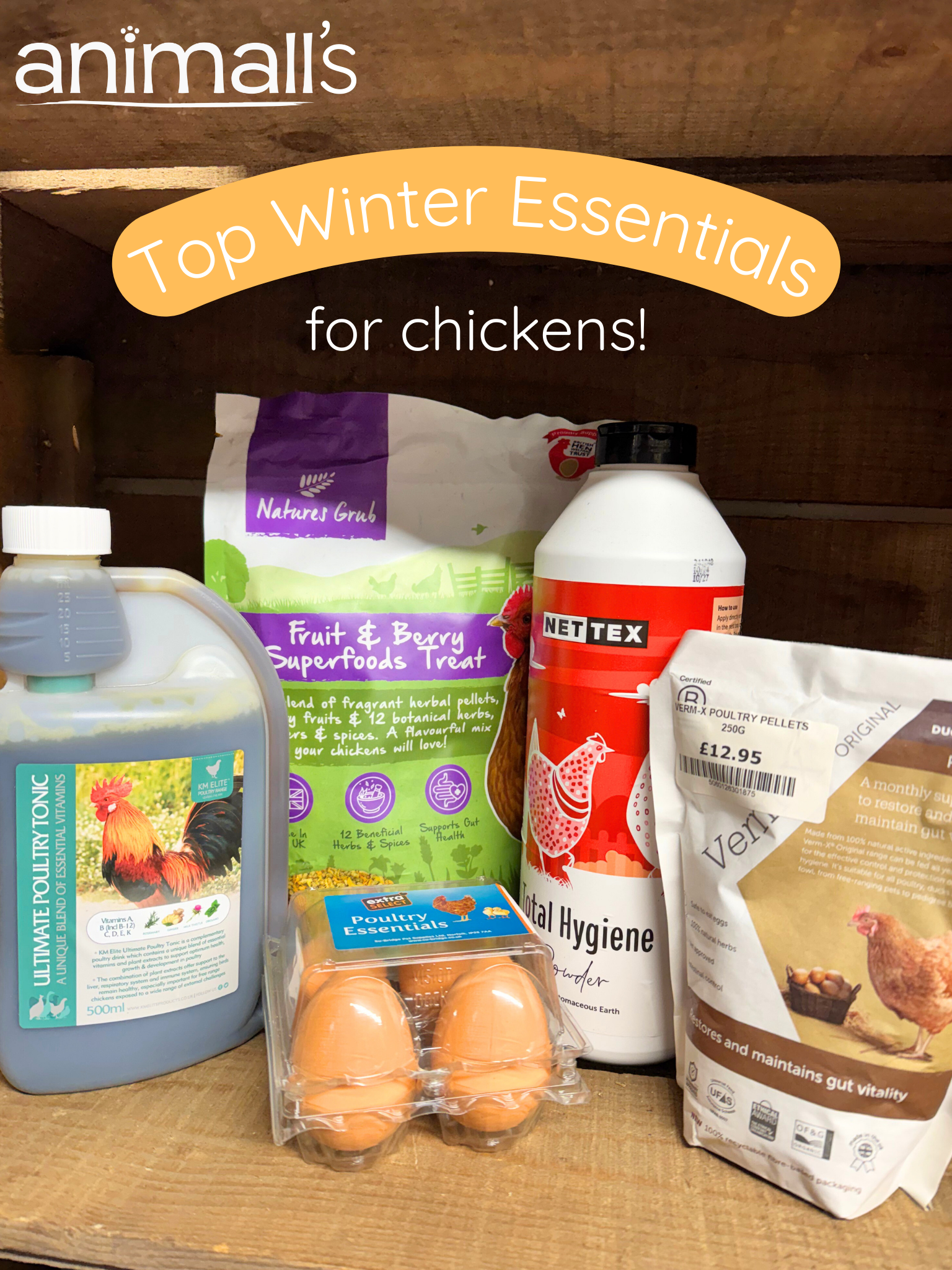 Animall’s 5 Winter Essentials For Chickens 🐾