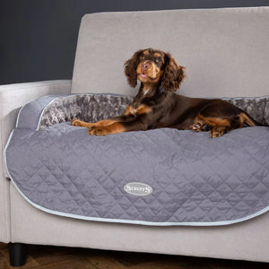 Protect Your Sofa Without Compromising Your Dog’s Comfort