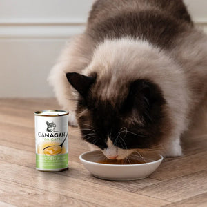 Keeping your cat's hydrated with Canagan