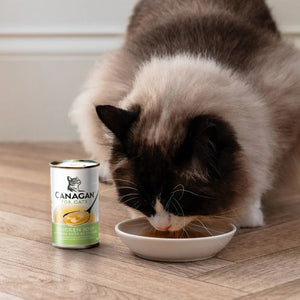 Keeping your cat's hydrated with Canagan