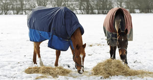 5 Top Tips To Help Care For Your Horse In Winter