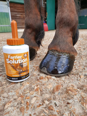 Protecting Hooves in Muddy Conditions with NAF Five Star PROFEET