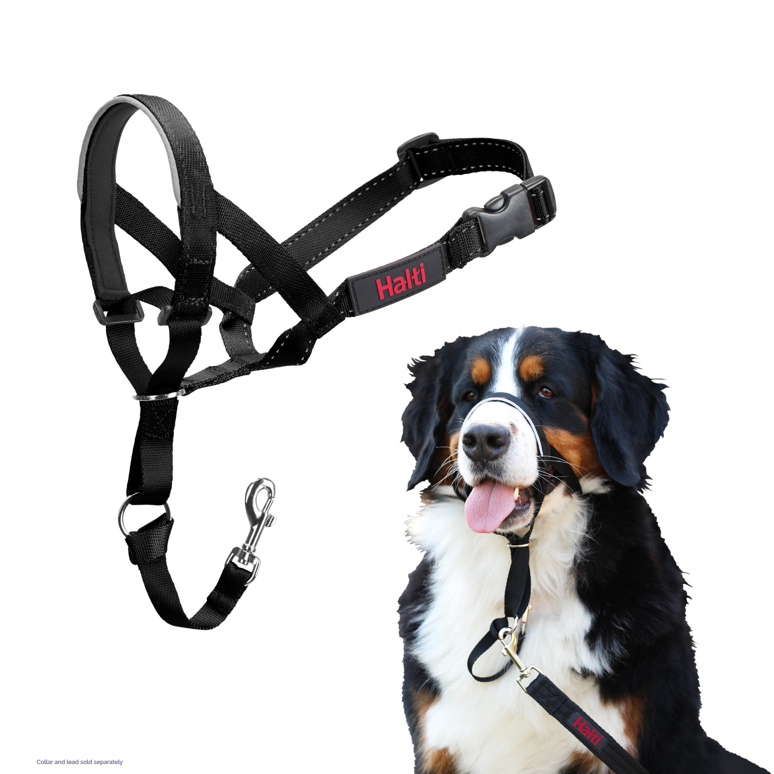 Company of Animals Halti Headcollar in black, size 5
