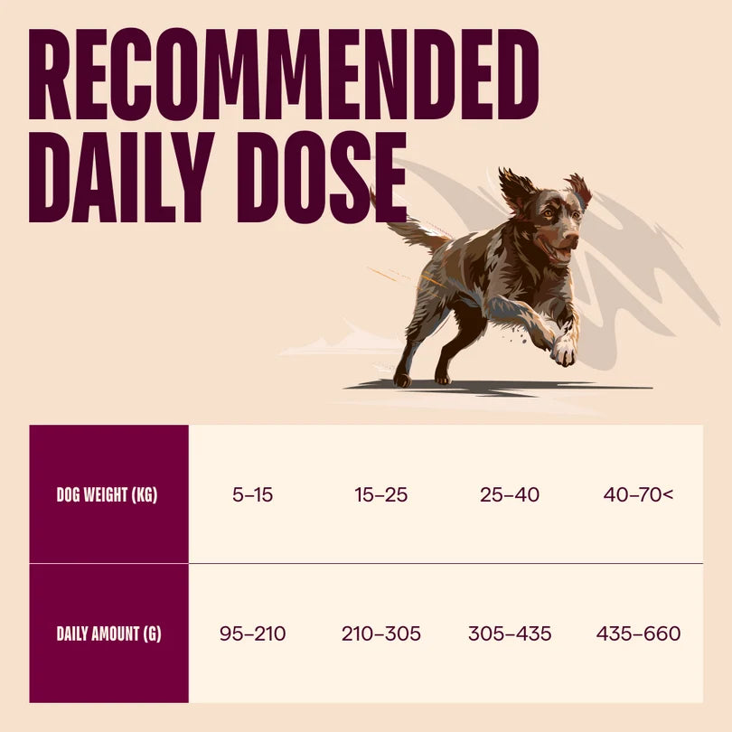 Carnilove Active Venison, Reindeer & Wild Boar Grain-Free Dry Dog Food for Active Adult Dogs 12kg