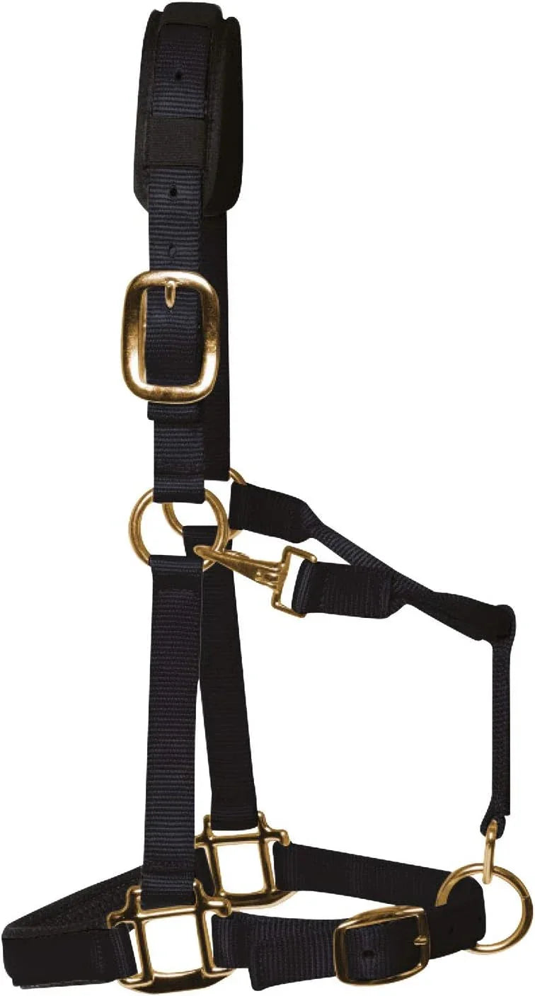 Km Elite Headcollar Black Large