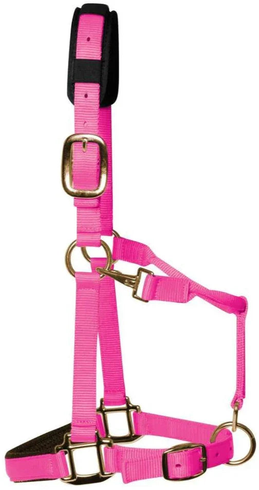 KM Elite Headcollar Hot Pink Medium