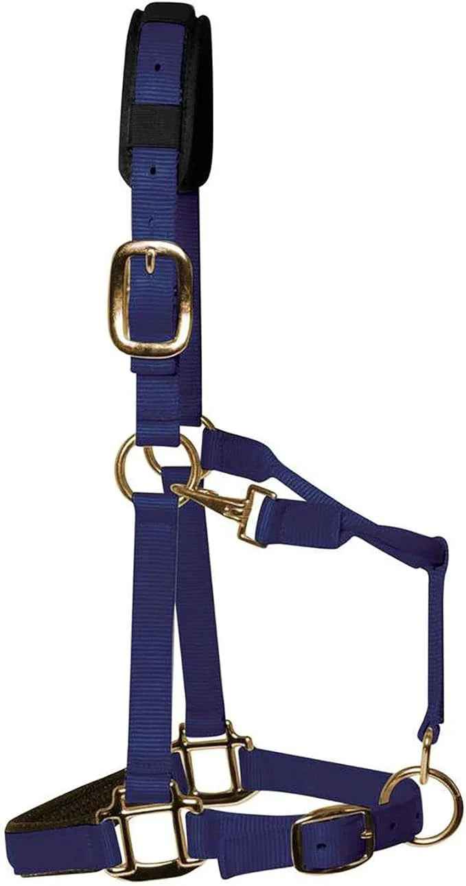 KM Elite HeadCollar Navy - Large