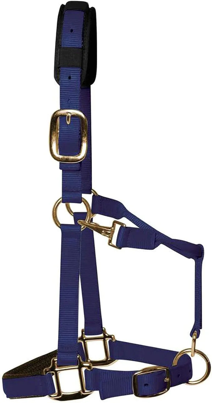 KM Elite Luxury Padded Headcollar: Navy Blue: Medium