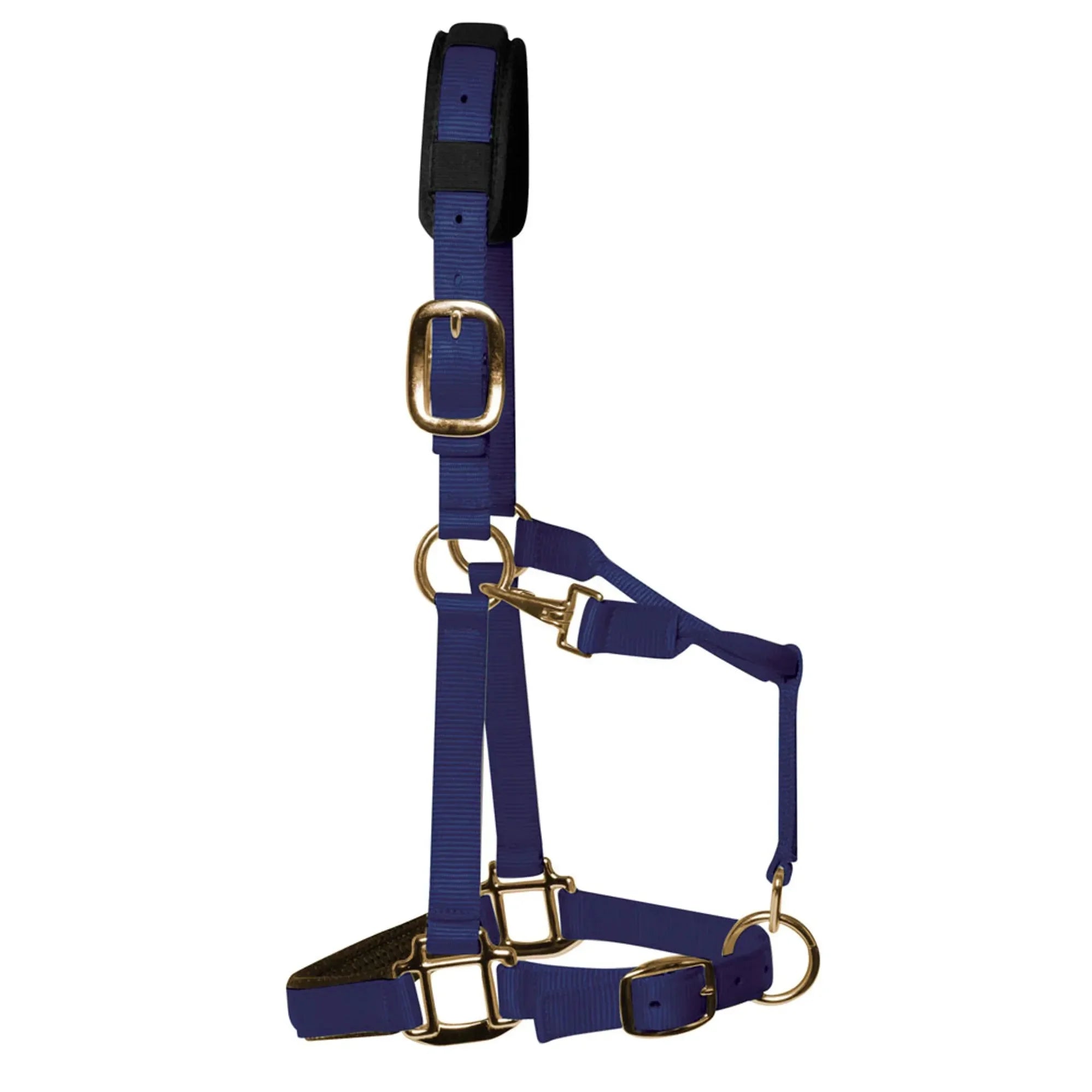 KM Elite Headcollar Navy Blue Xl