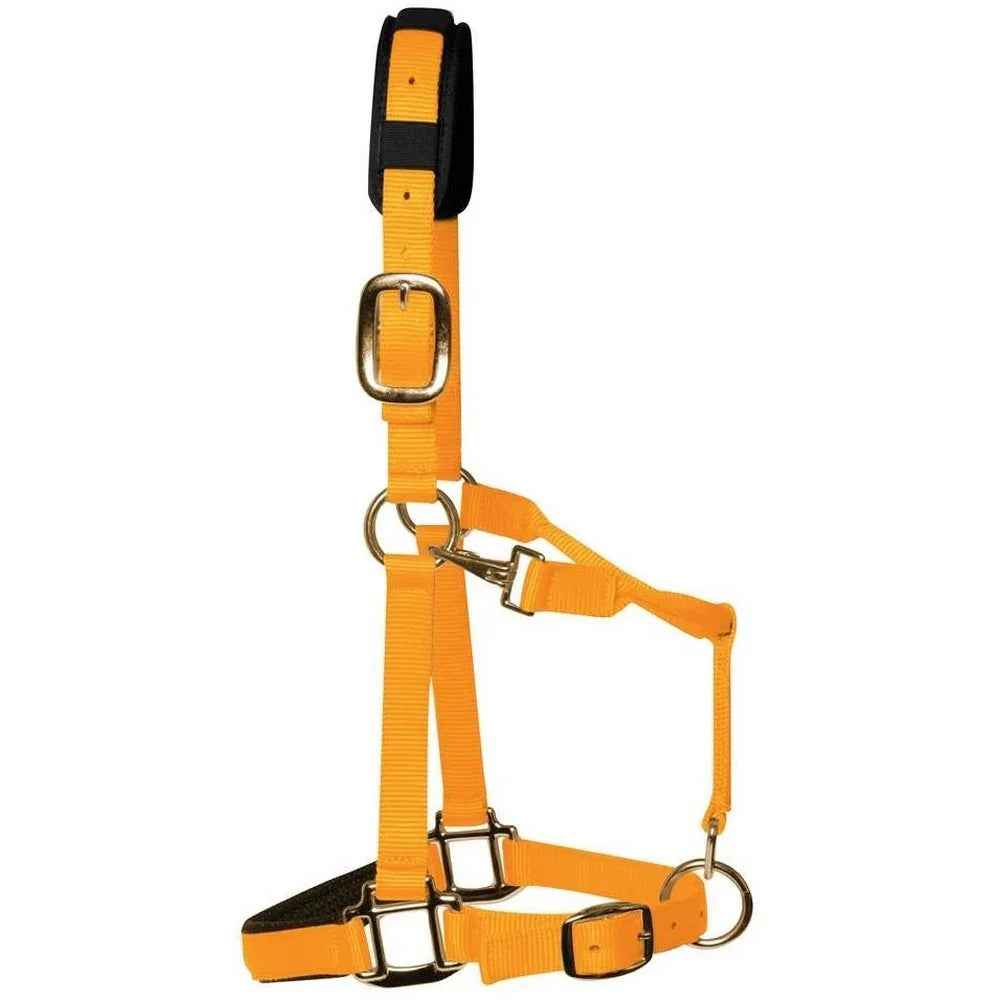 KM Elite Headcollar Orange Medium