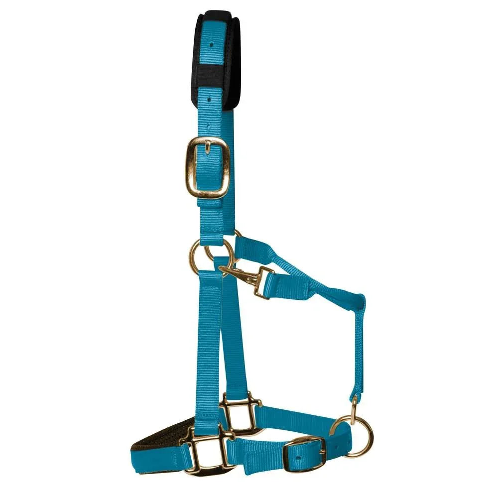KM Elite Headcollar Pastle Blue Medium