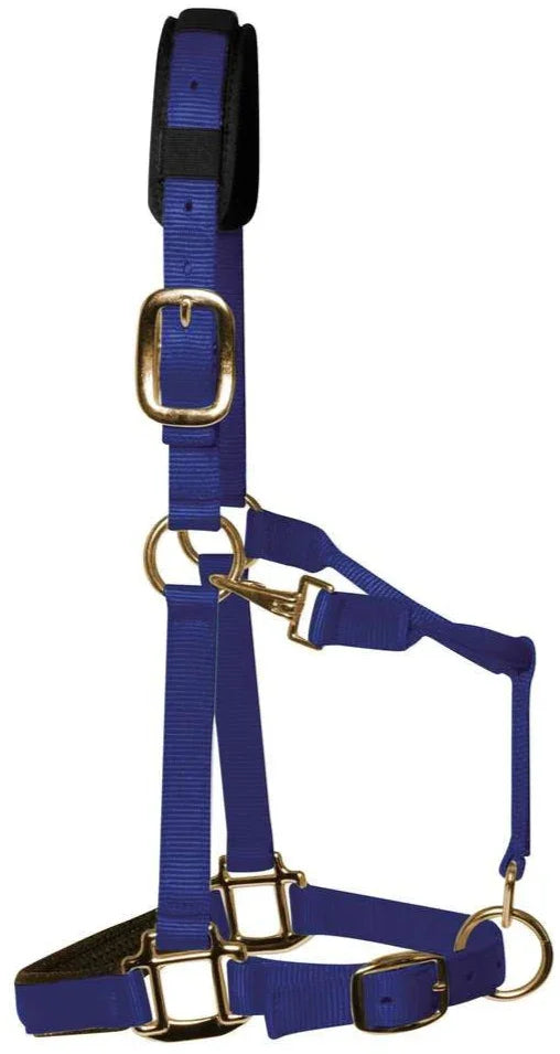 KM Elite Headcollar Royal Blue Medium