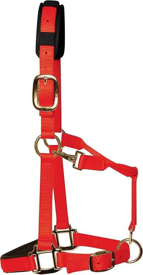 KM Elite Luxury Padded Head Collar Red - Large