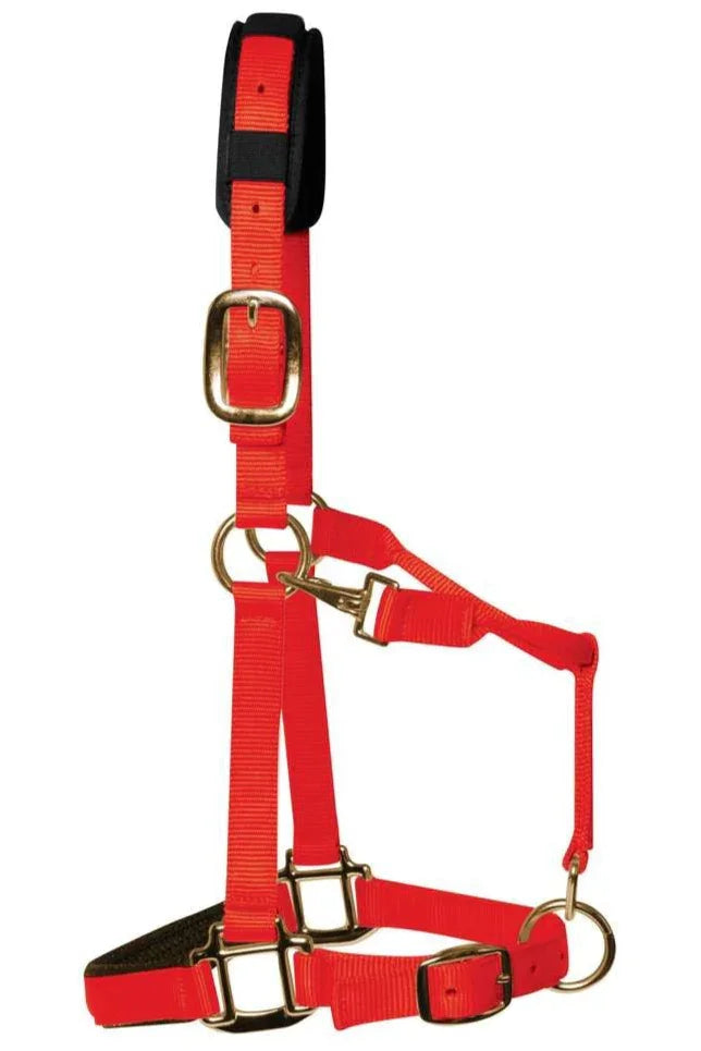 Km Elite Headcollar Red Xl