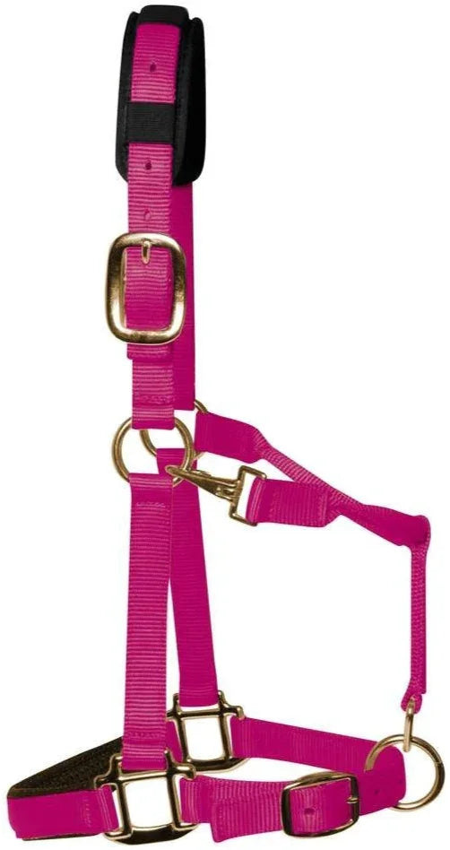 KM Elite Headcollar Raspberry Medium