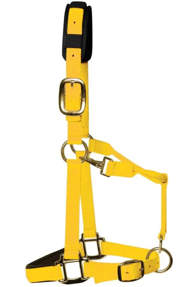 Km Elite Headcollar Yellow Large