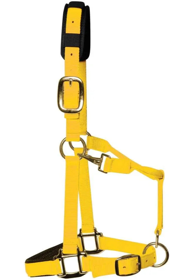 Km Elite Headcollar Yellow Medium