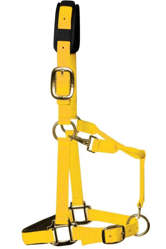 Km Elite Headcollar Yellow Small