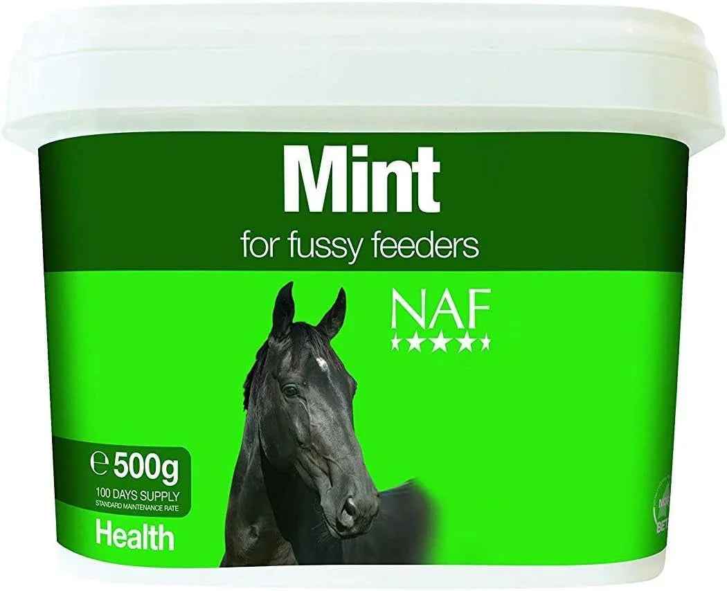 NAF Mint 500g