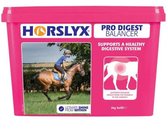 Horslyx Pro Digest Balancer Stable/Paddock Horse Lick 5 kg