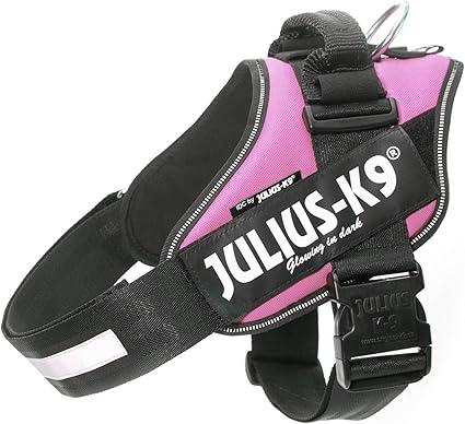 Julius Idc-Powerharness, Size: 4, Pink
