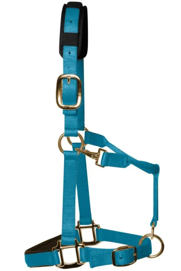 Km Elite Headcollar Pastle Blue Small