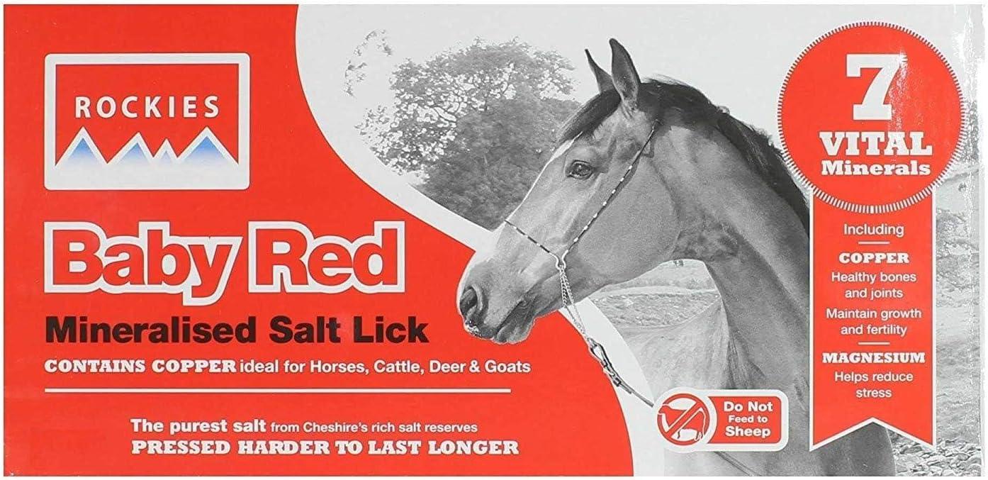 Baby Rockie Salt Lick 2k Red