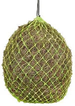 Elico Helston Haynet Small - Lime