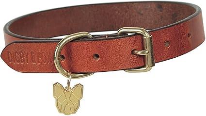Digby & Fox Flat Leather Dog Collar Tan Xs