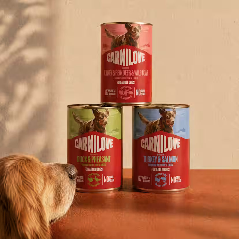 Carnilove Salmon & Turkey Complete Wet Dog Food for Adult Dogs 400g