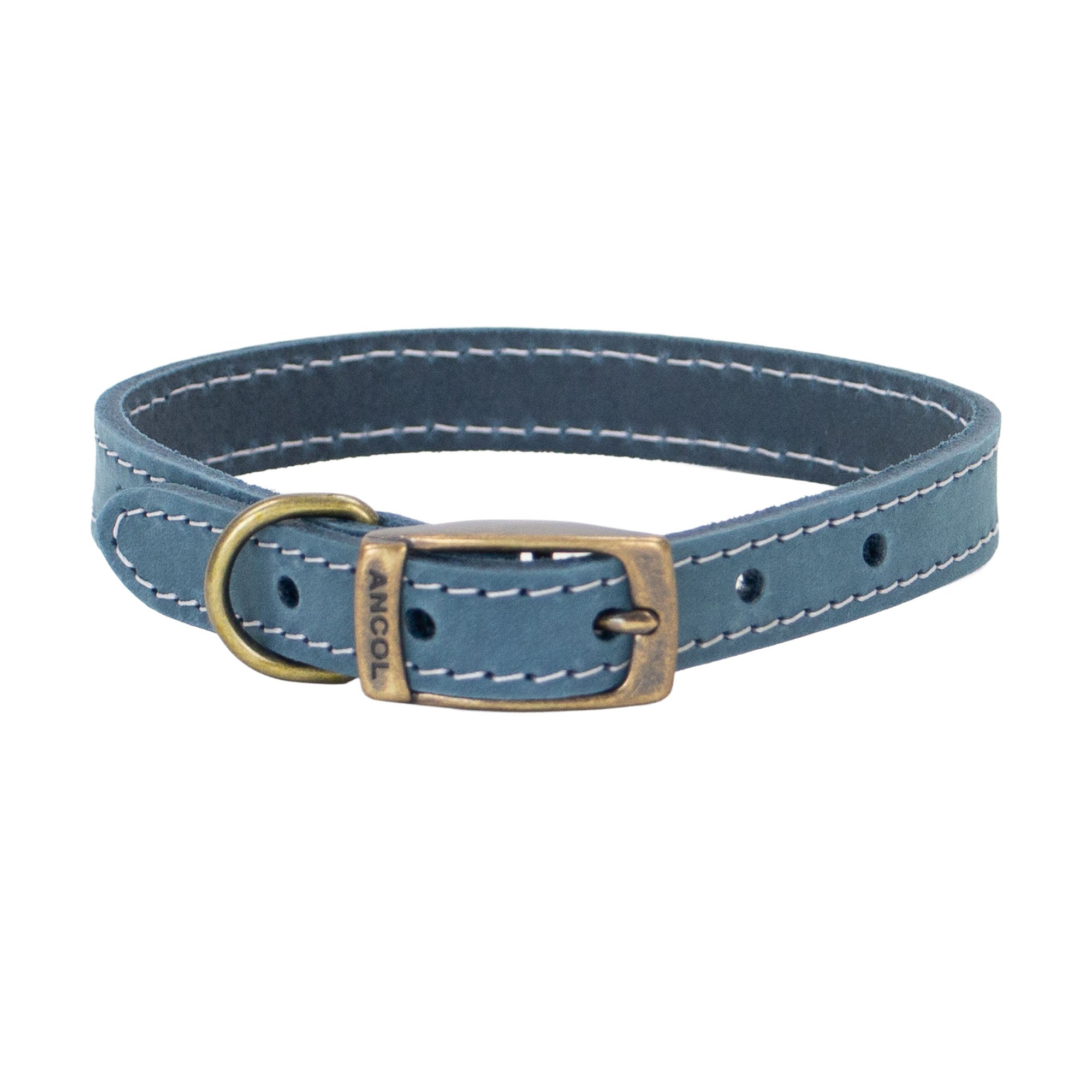 Ancol Timberwolf blue bridle leather dog collar, buckled, with contrast stitching