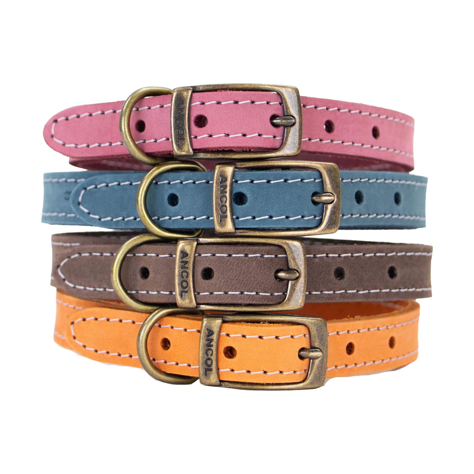 Ancol Timberwolf leather collars stacked in raspberry, blue, sable and mustard