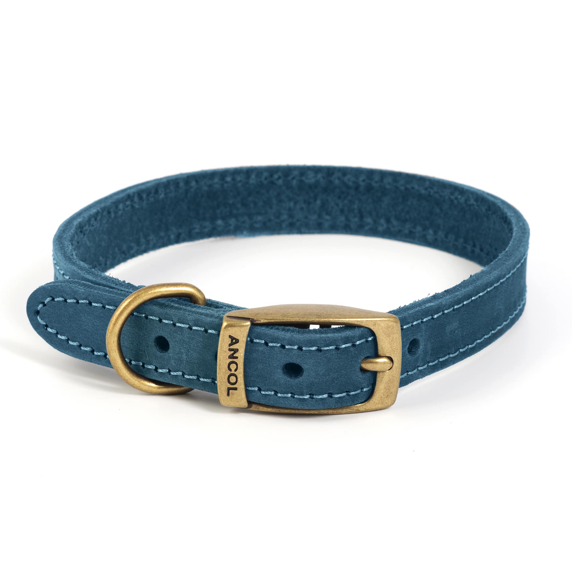 Ancol Timberwolf leather dog collar in blue with matching blue stitching