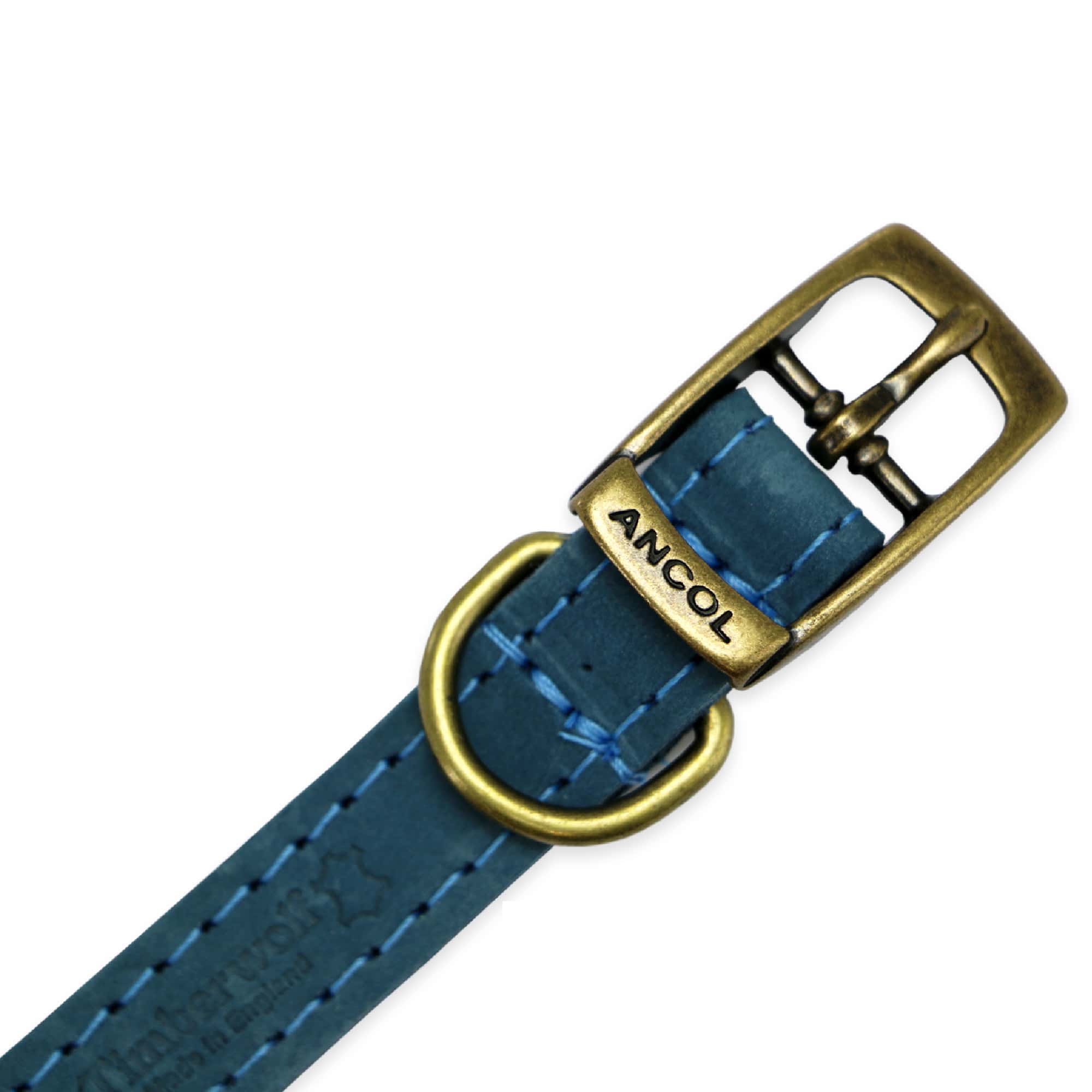 Close-up of the buckle and keeper on the blue Timberwolf collar