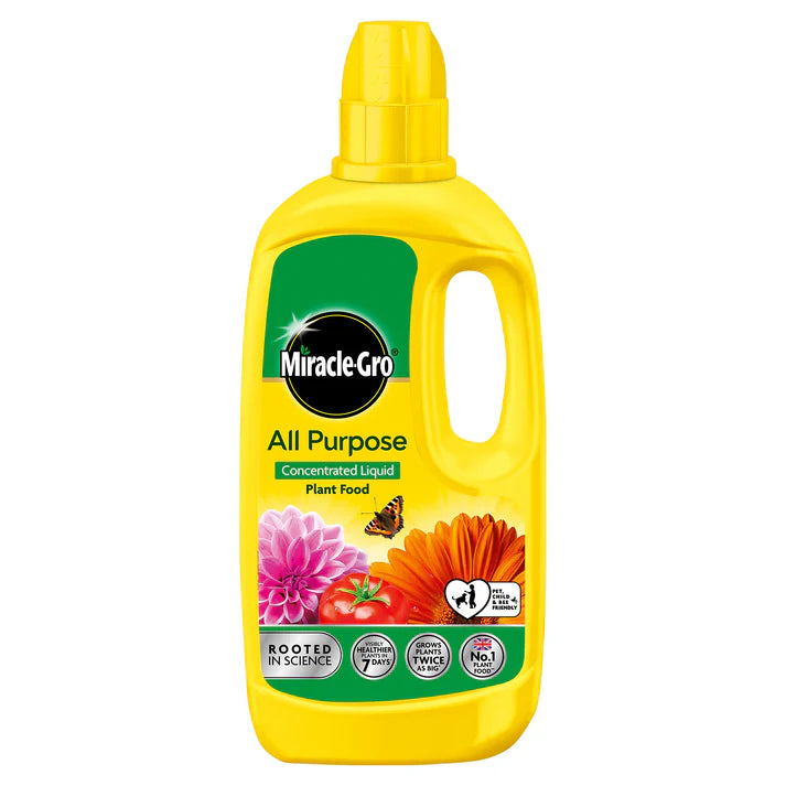 Miracle-Gro All Purpose Concentrated Liquid Plant Food 1L, Indoor Outdoor Flowers Vegetables Houseplants