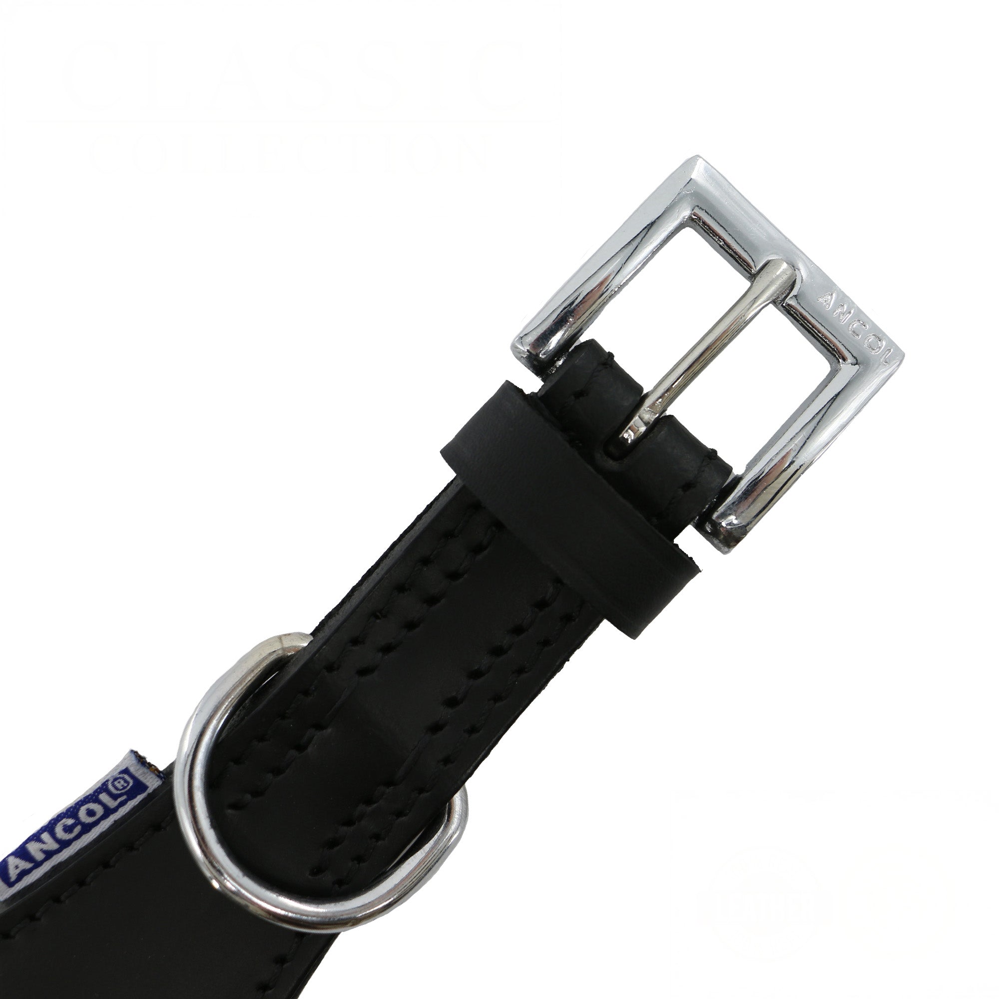Close-up of the buckle, keeper and D-ring on the black padded hound collar