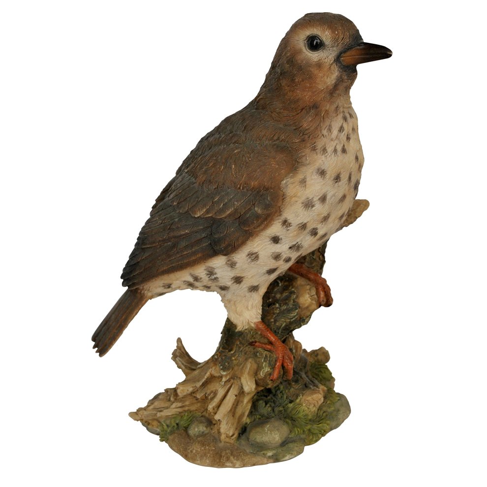 Vivid Arts Wild Bird Collection – Size F Assorted British Garden Bird Ornament (thrush design shown)