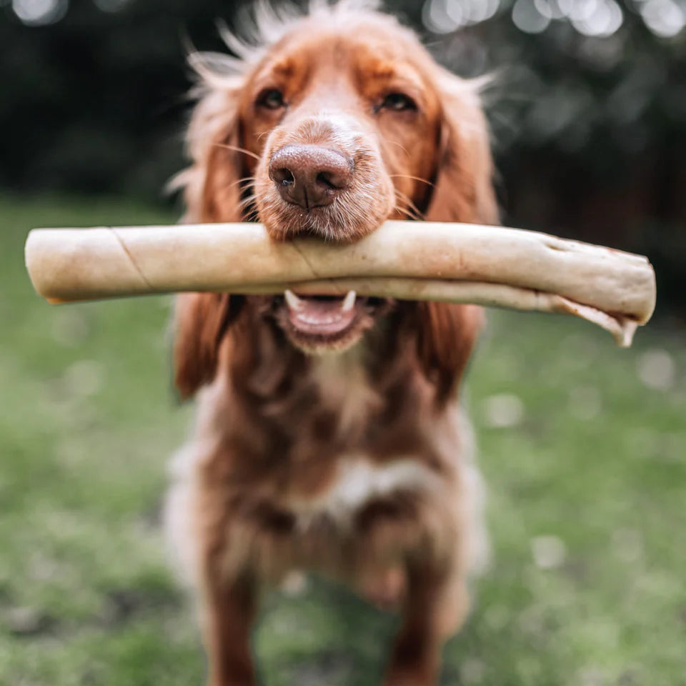 Anco Naturals Bully Roll Large Dog Treats – 100% Beef Tough Chew