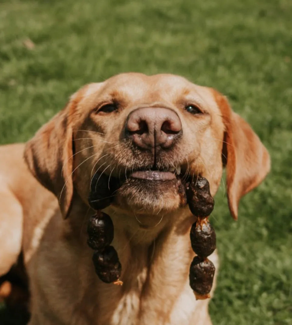 Anco Naturals Ostrich Sausage with Rooibos Dog Treats 9pc – Nutrient-Rich, Unique Flavour