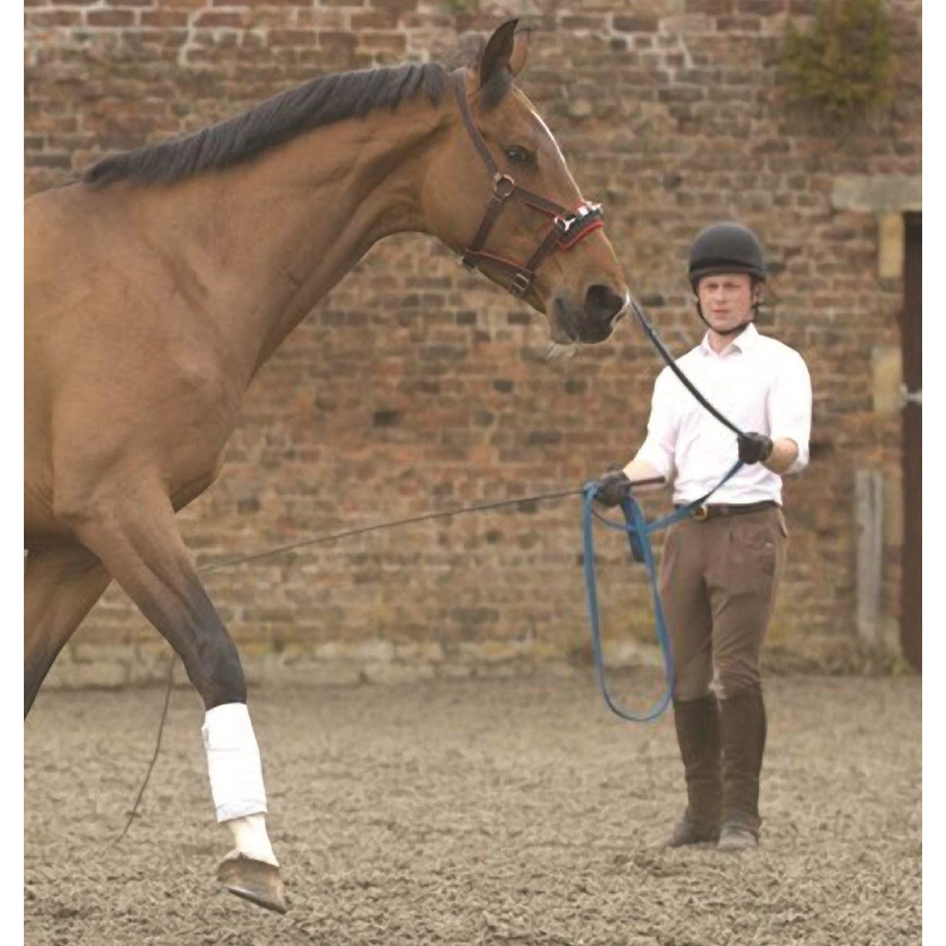 Hy Equestrian Soft Webbing Lunge Rein – Fuchsia/Navy/White, With Carry Case