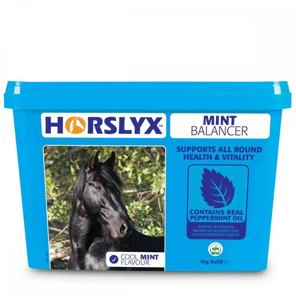 Horslyx Mint Balancer – Horse & Pony Supplement Lick, 5 kg