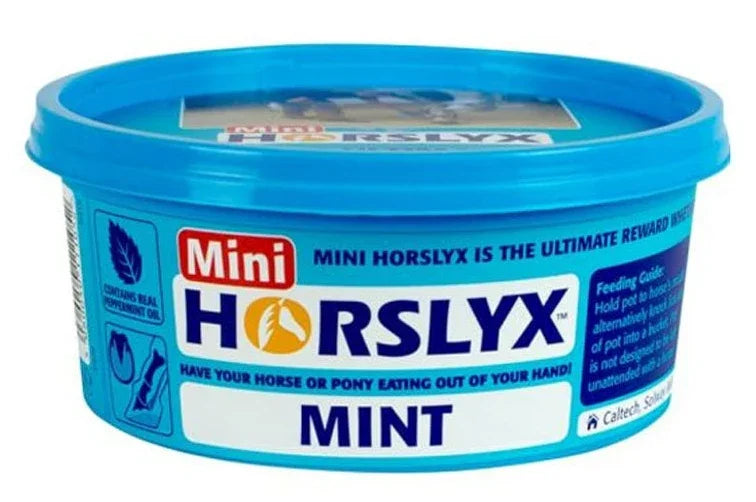 Horslyx Minis Horse Lick Mint, 650 g for Horses & Ponies