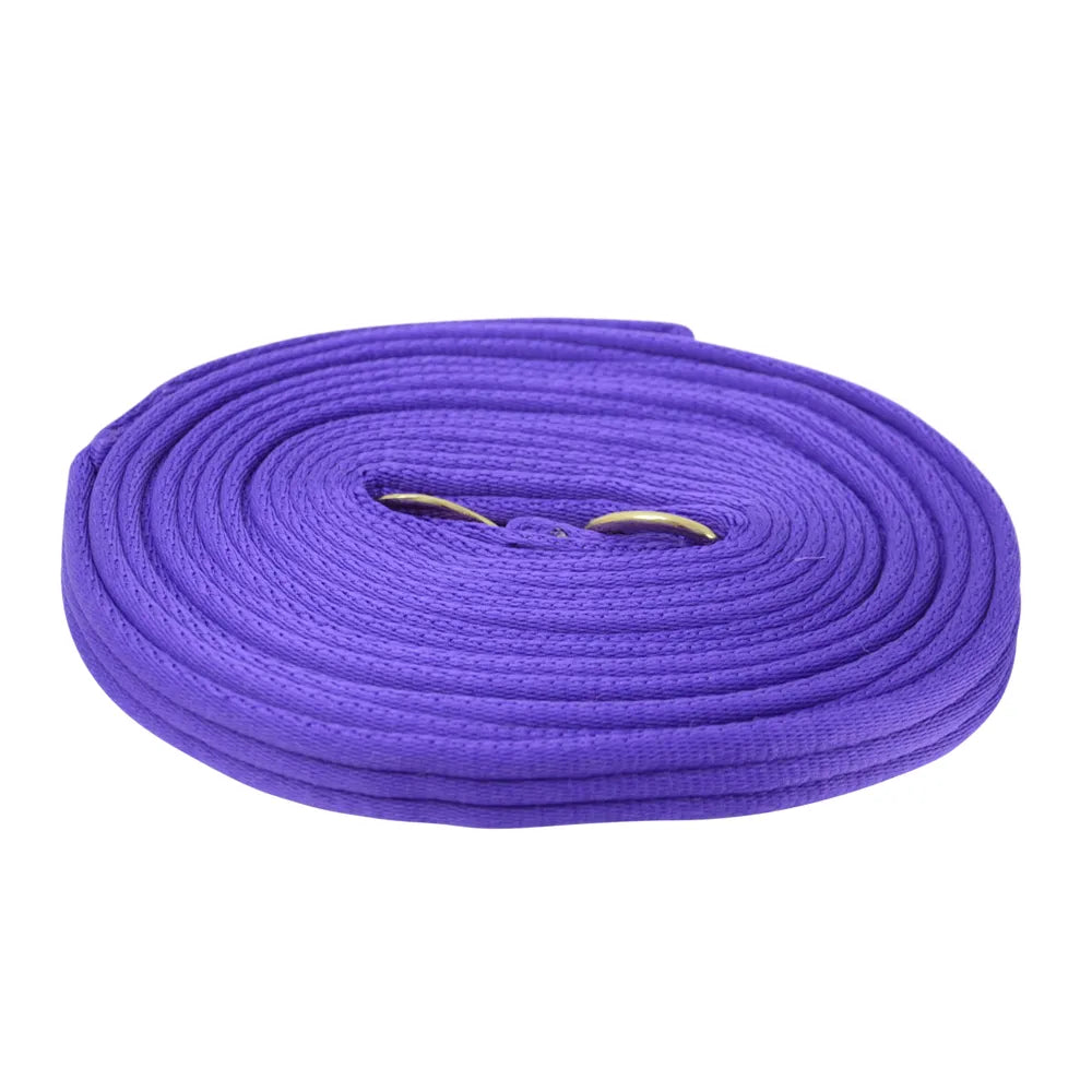 Hy Equestrian Soft Webbing Lunge Rein – Purple, With Carry Case