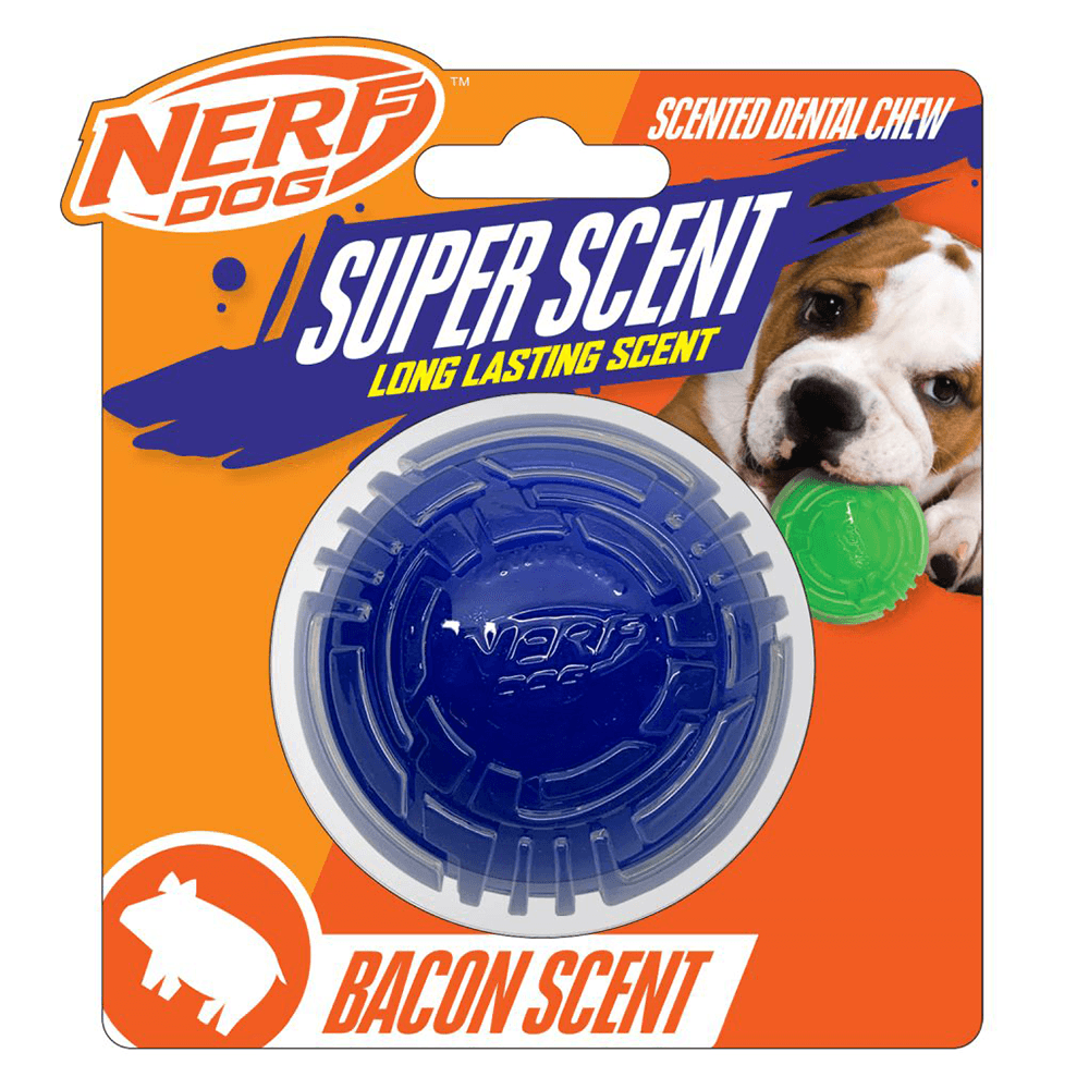Nerf Dog Bacon Scented Super Scent Ball Solid Core dog toy, 2.5 inch, clear and blue