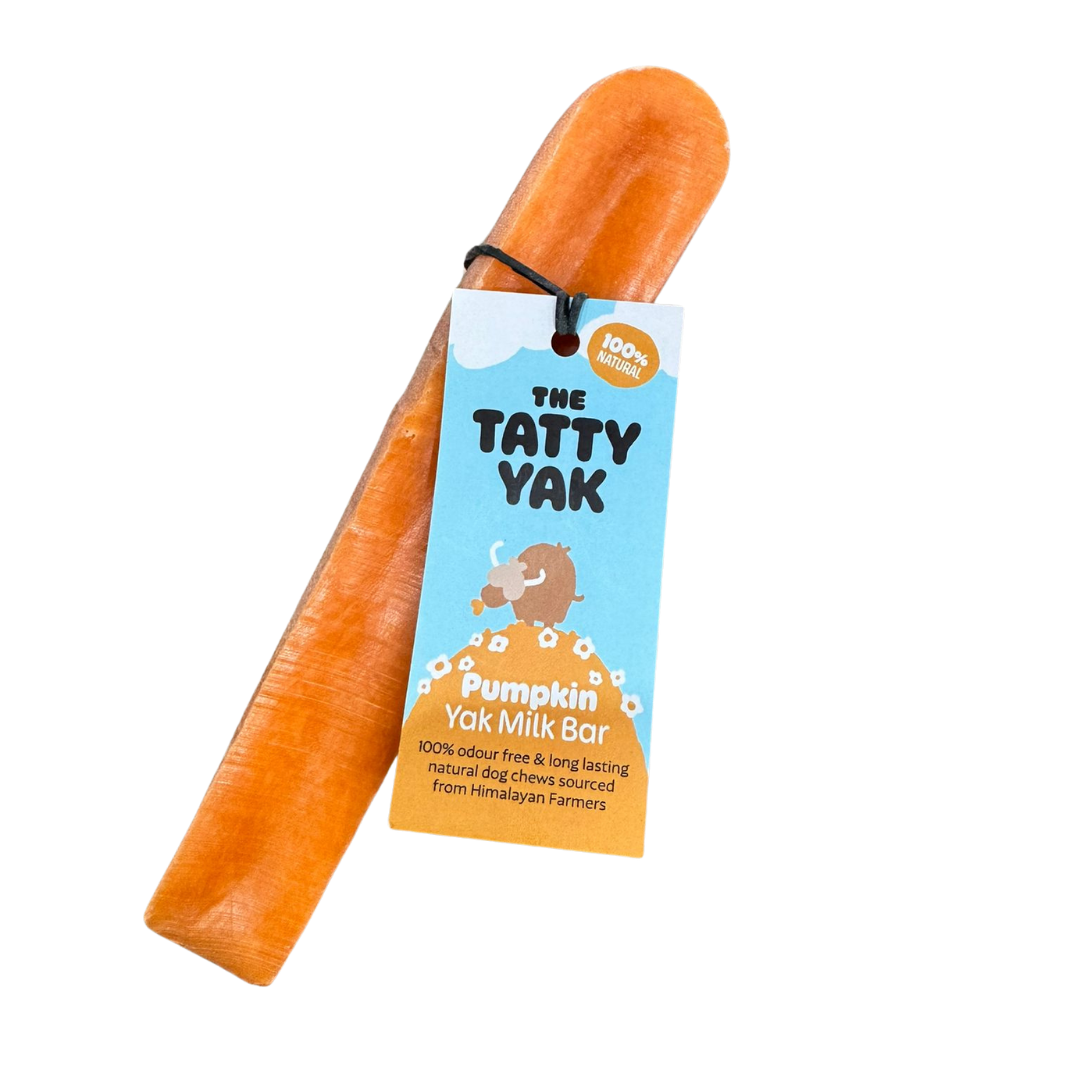 Tatty Yak Bar Pumpkin Medium Natural Flavoured Dog Chew