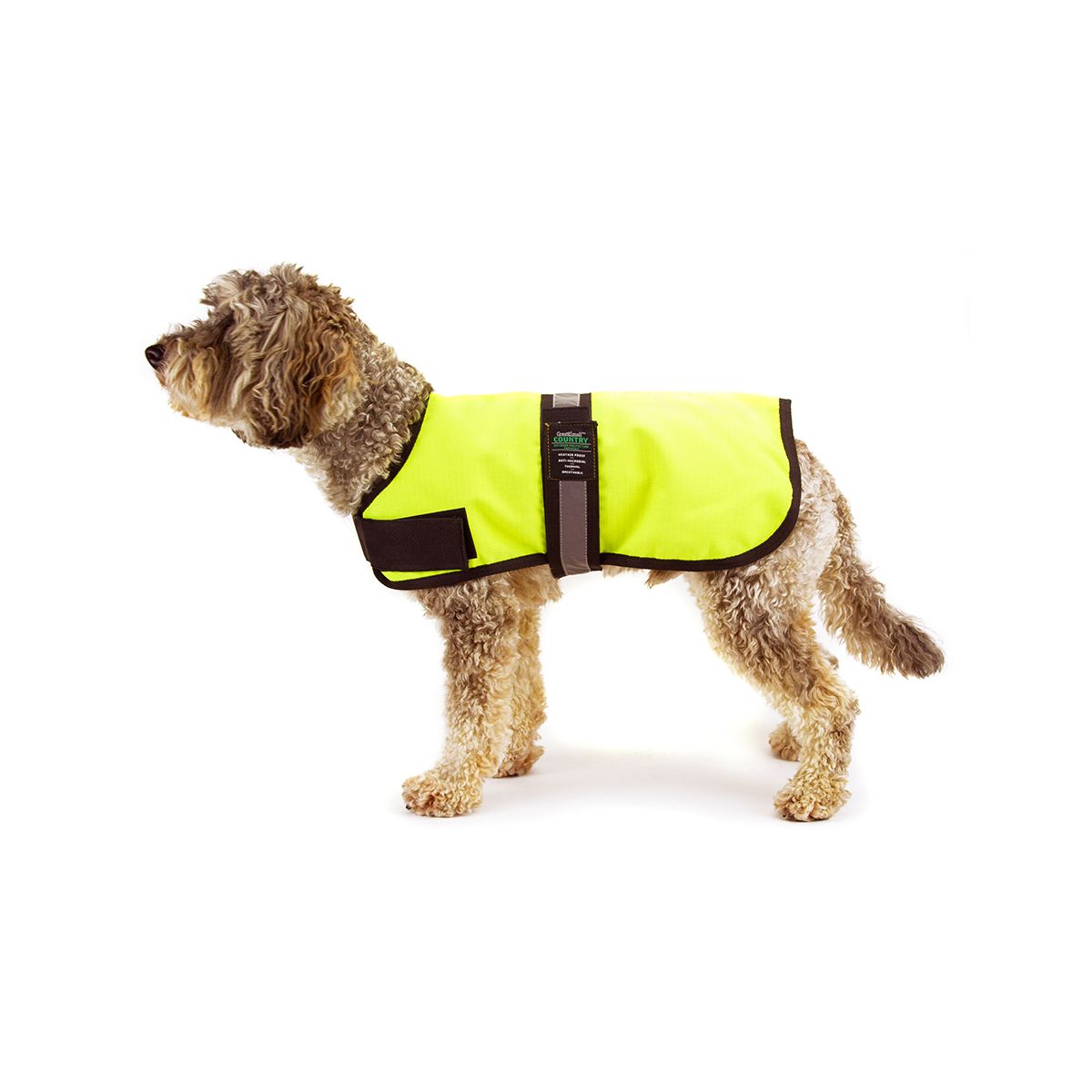 Great & Small Active Unlined Hi-Vis Dog Coat – 36cm Back Length